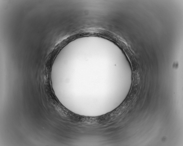 X0000099321158200805231418