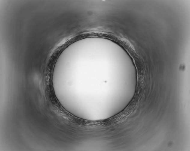 X0000099321159200805231418