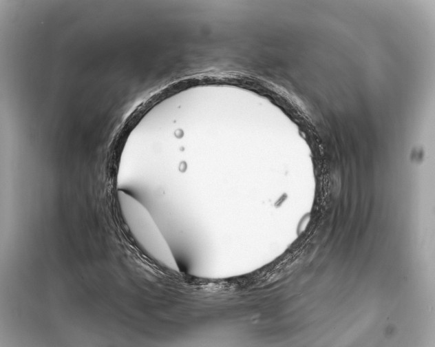 X0000099321160200805231418