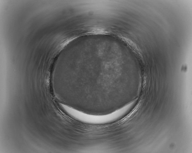 X0000099321161200805231418