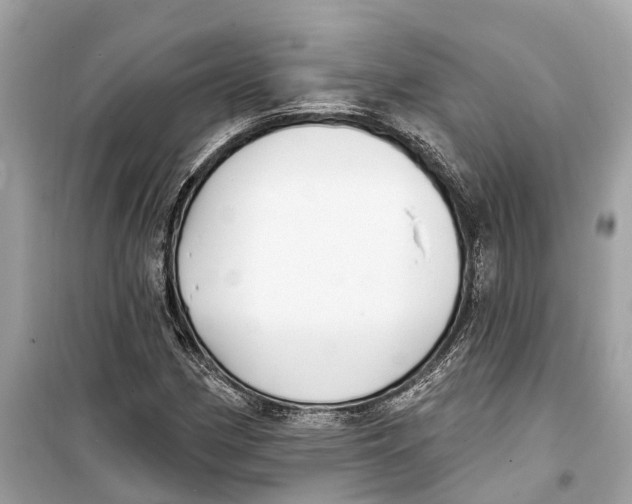 X0000099321162200805231418