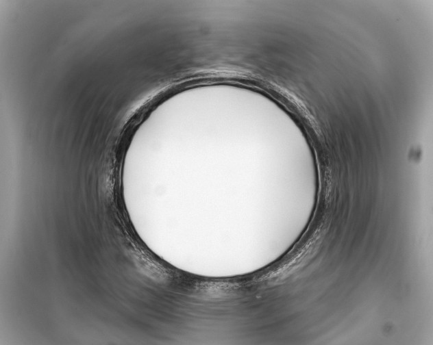 X0000099321163200805231418