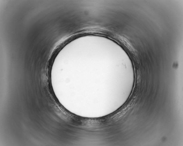 X0000099321164200805231418