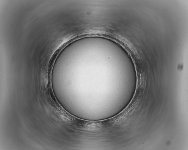 X0000099321165200805231418