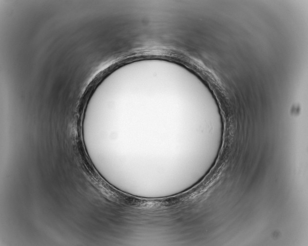 X0000099321166200805231418