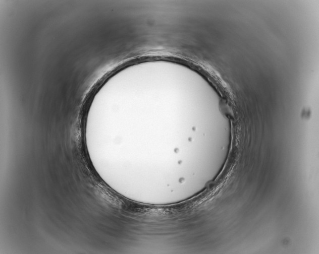 X0000099321167200805231418