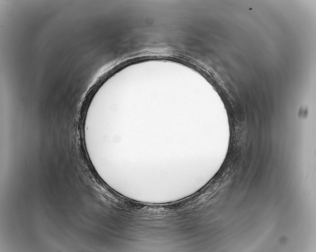 X0000099321168200805231418