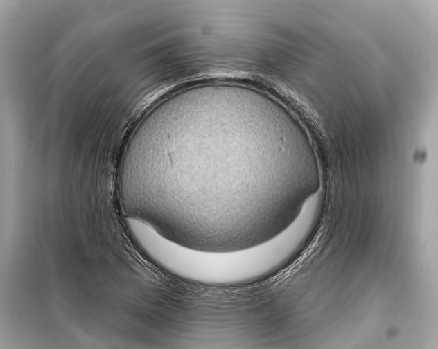 X0000099321169200805231418