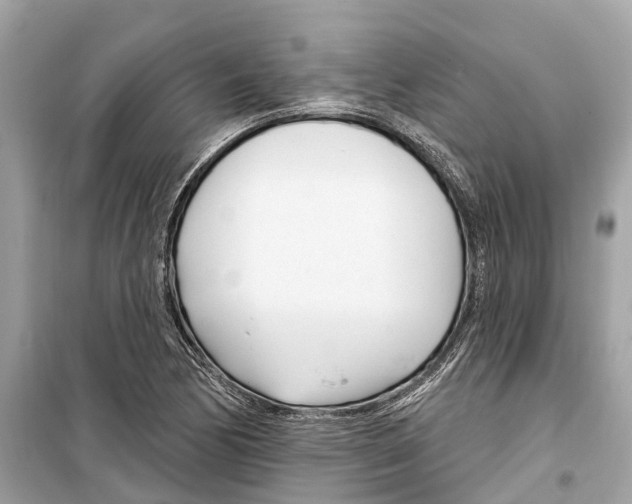 X0000099321170200805231418