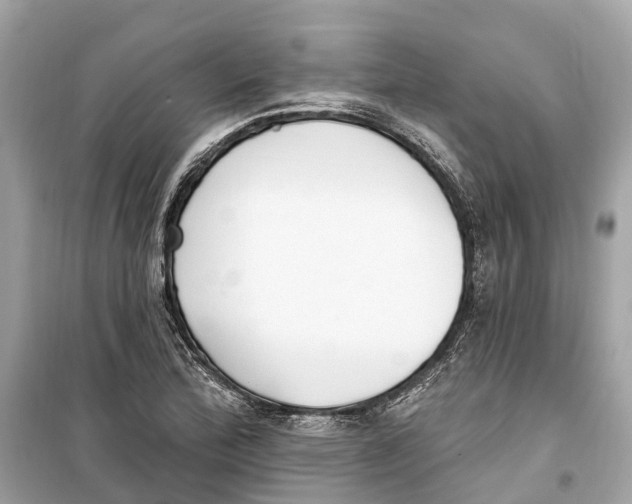 X0000099321172200805231418