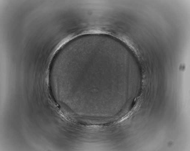 X0000099321173200805231418