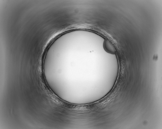 X0000099321174200805231418