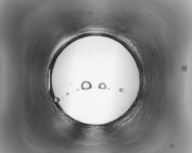 X0000099321175200805231418