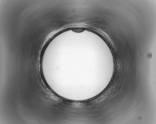 X0000099321176200805231418