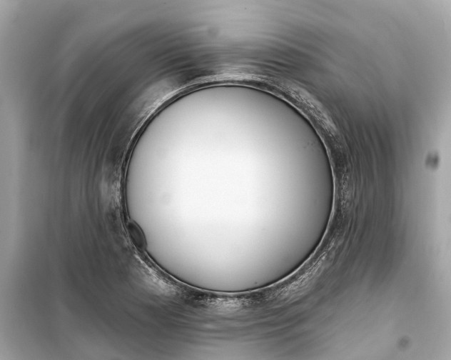 X0000099321177200805231418