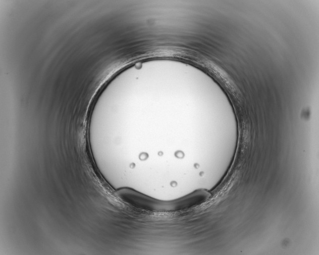 X0000099321178200805231418