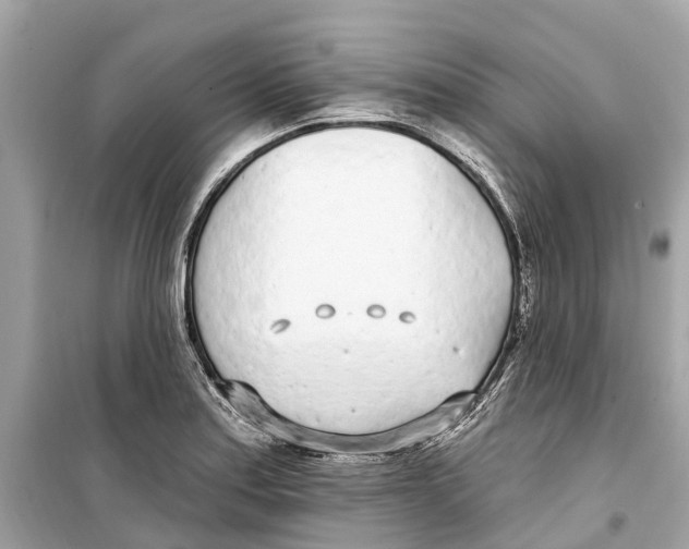 X0000099321179200805231418