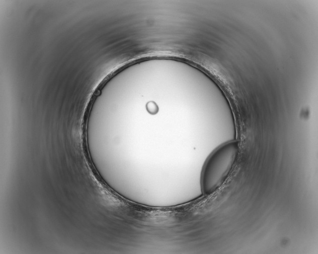 X0000099321181200805231418