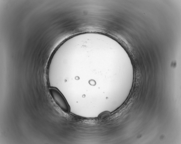 X0000099321182200805231418