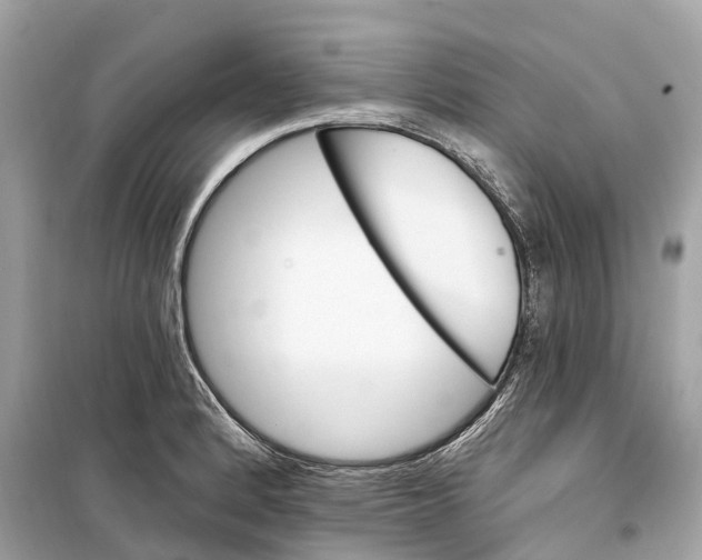 X0000099321184200805231418