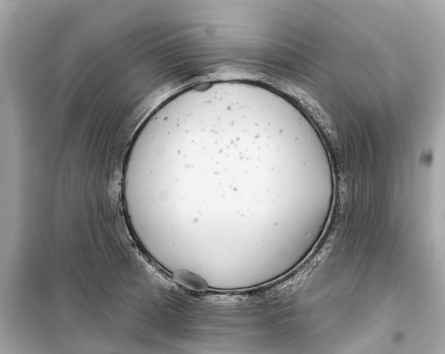 X0000099321185200805231418