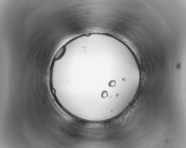 X0000099321187200805231418