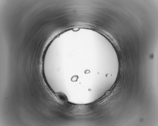 X0000099321188200805231418