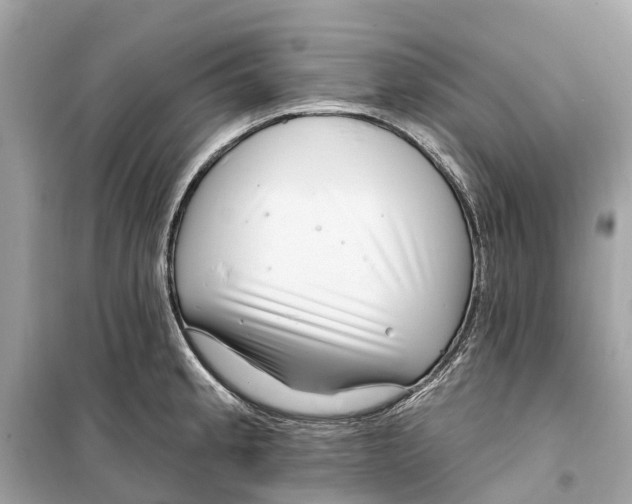 X0000099321189200805231418