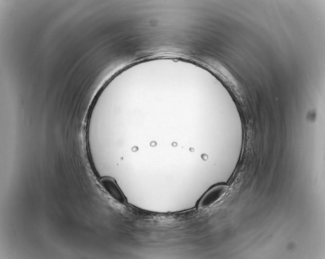 X0000099321190200805231418