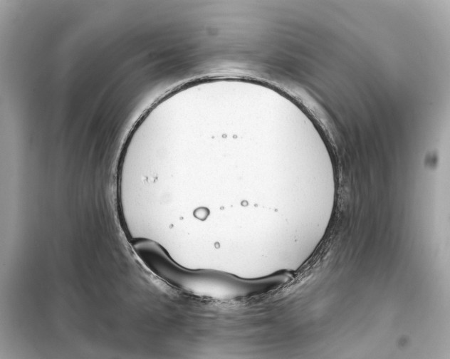 X0000099321191200805231418