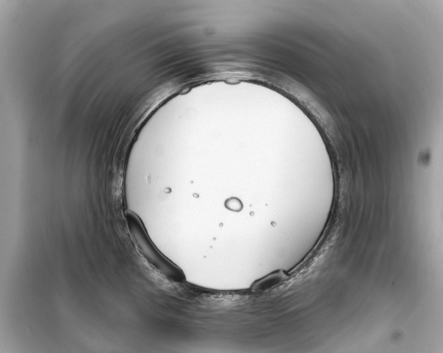 X0000099321193200805231418