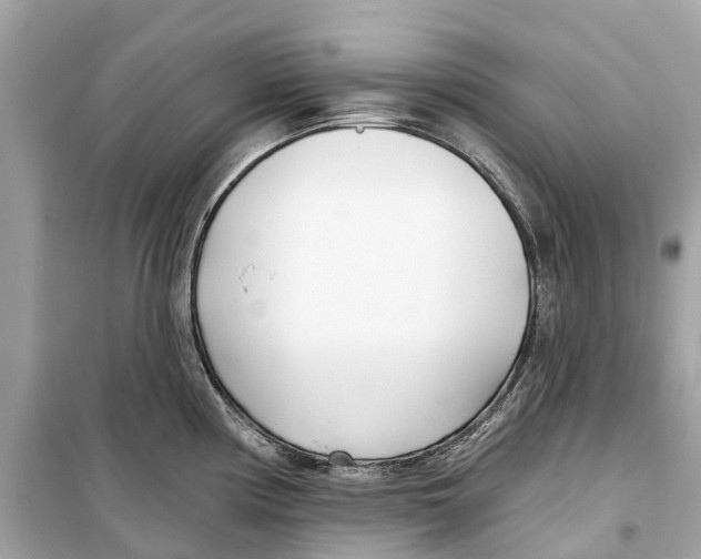 X0000099321194200805231418