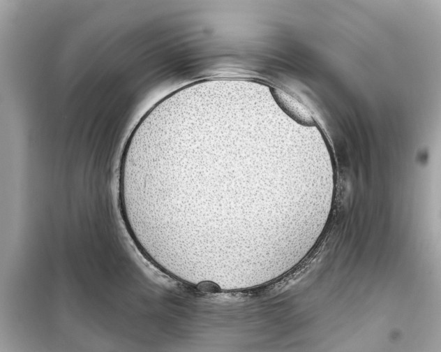 X0000099321195200805231418