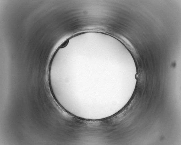 X0000099321196200805231418