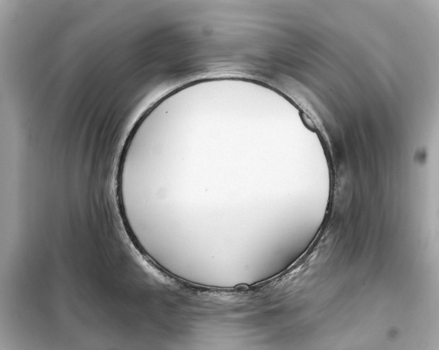 X0000099321197200805231418