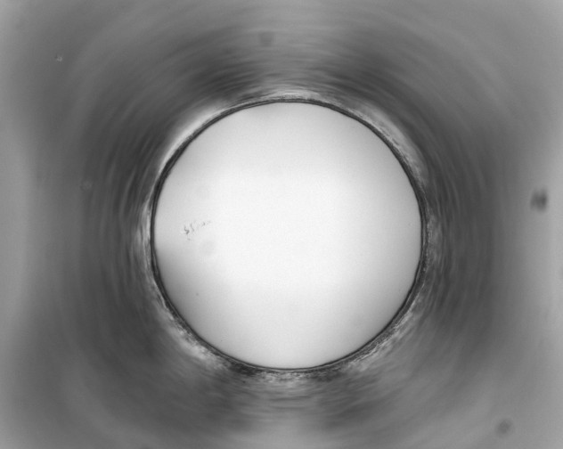 X0000099321198200805231418