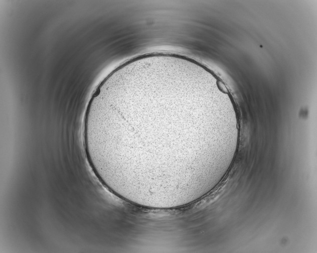 X0000099321199200805231418