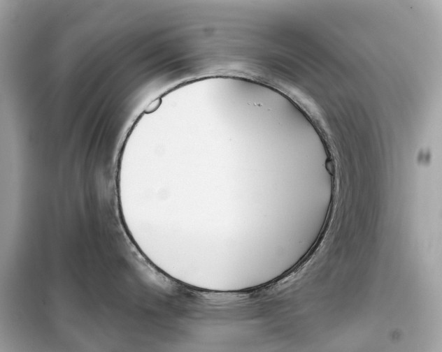 X0000099321200200805231418