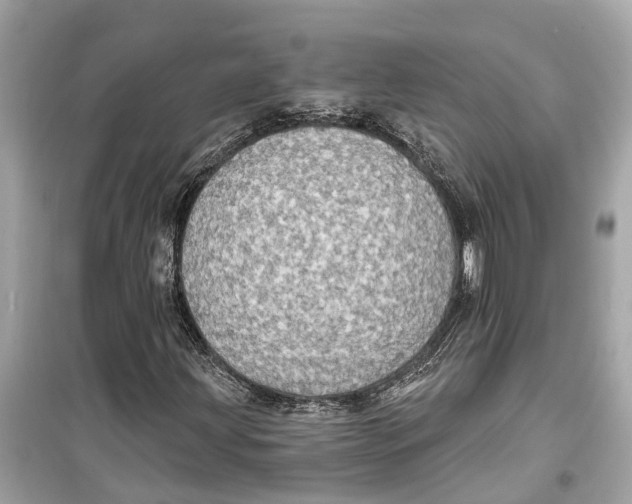 X0000099321203200805231417