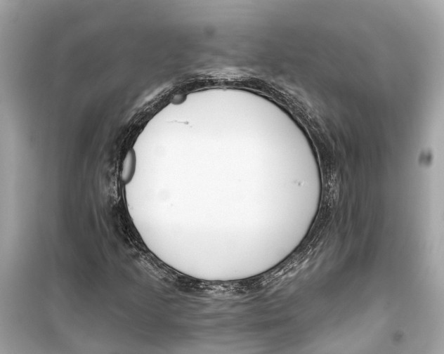 X0000099321205200805231417