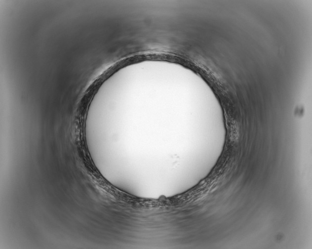 X0000099321208200805231417