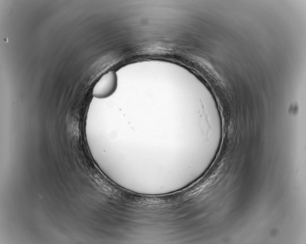 X0000099321209200805231417