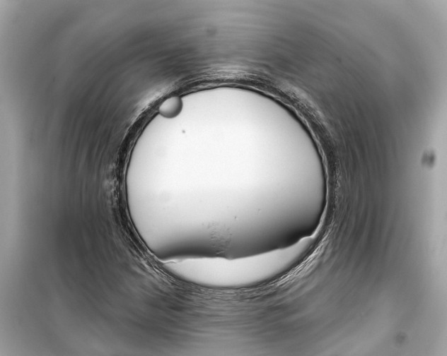 X0000099321210200805231417