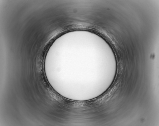 X0000099321211200805231417