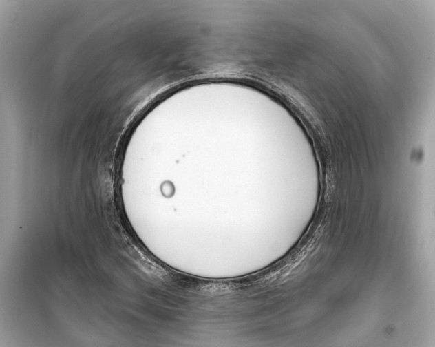 X0000099321212200805231417