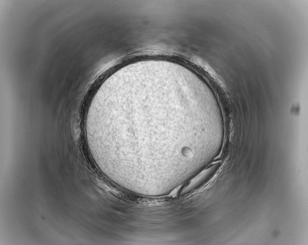 X0000099321213200805231417