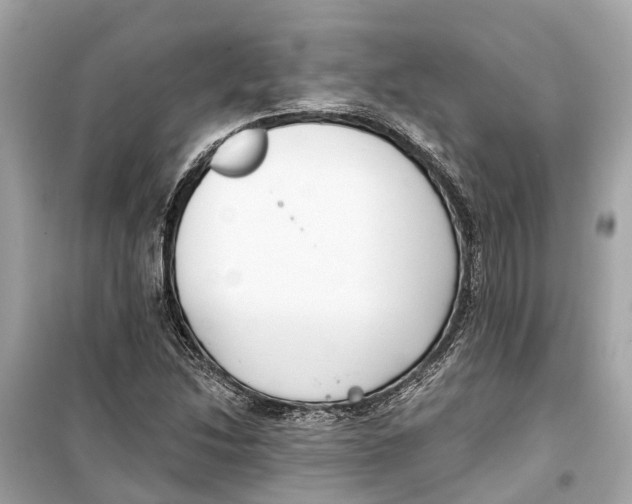 X0000099321214200805231417