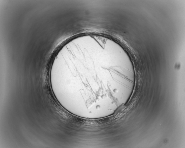 X0000099321215200805231417