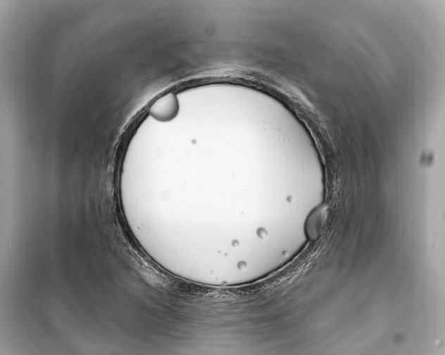 X0000099321216200805231417