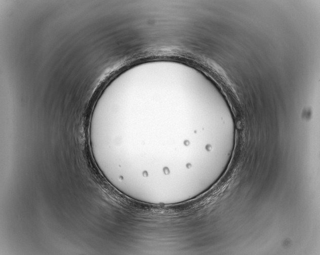 X0000099321218200805231417